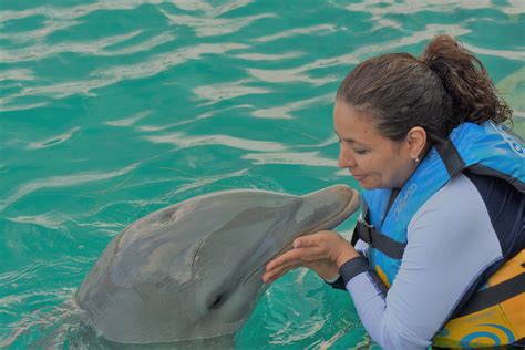 Swim With The Dolphins In The Florida Keys Sunset Travel Cruise