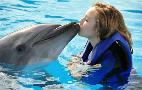 Swimming With Dolphins Hurghada Hurghada Excursion