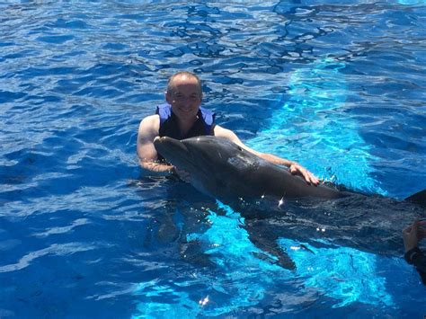 Swimming With Dolphins In Destin Florida Kangmusofficial Com