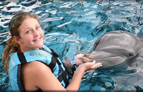 Swimming With Dolphins In Destin Florida Sportsrec