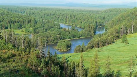 Taiga Archivi Un Mondo Ecosostenibile