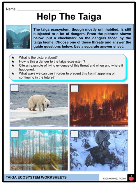 Taiga Ecosystem Facts Worksheets Geography Characteristics