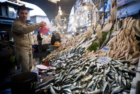 Take A Tour Around Istanbul S Best Fish Markets Daily Sabah