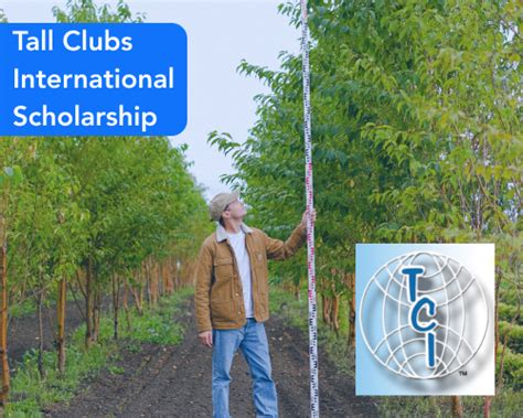 Tall Clubs International Definitive Guide To Tall Clubs And Scholarships