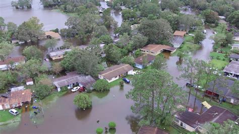 Tampa Hurricane Damage 2024 Update Rora Wallie