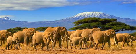 Tanzania Tourist Destinations Top Tourist Destination