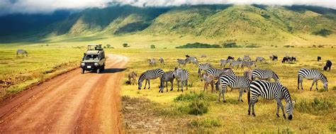 Tanzania Travel Guide Best Time To Visit Attractions Visa Information