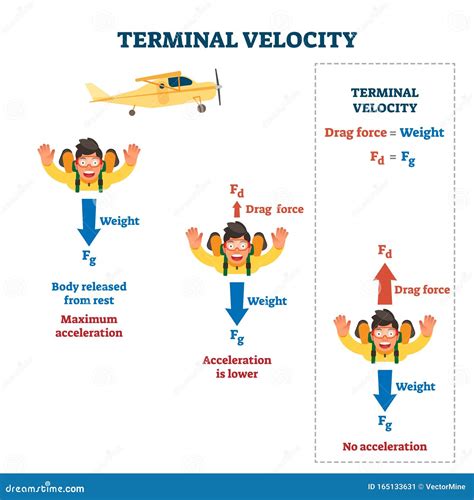 Terminal Velocity Vector Illustration Labeled Falling Speed