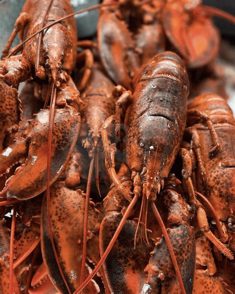 The 13 Best Fish Markets In Toronto For Seafood Lovers Bite Of To