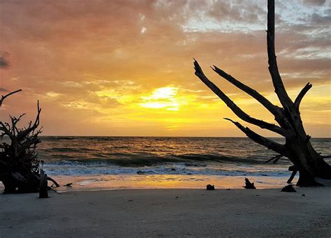 The 15 Best Spots In Florida To Relax Purewow Florida Vacation Spots