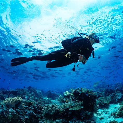 The 17 Best Scuba And Snorkel Destinations Luxury Travel Magazine