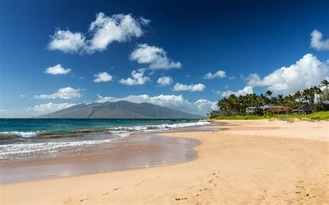 The 5 Best Beaches In Maui A Must See Experience