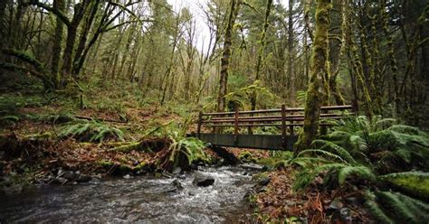 The 5 Best Hikes Near Corvallis Oregon