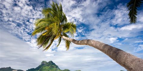 The 5 Best Islands In The World Huffpost