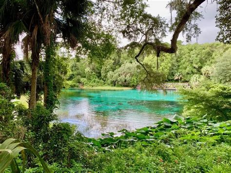 The 5 Best Natural Springs Near Orlando Impulse4adventure Florida