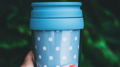 The 5 Best Travel Mugs Nz 2023 Choooser