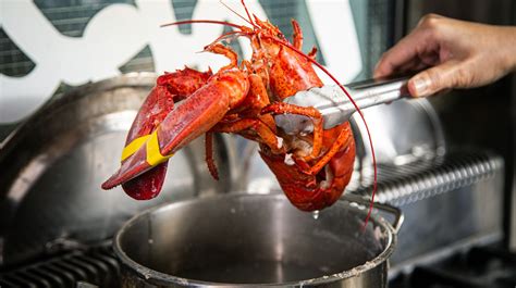 The Absolute Best Ways To Reheat Lobster