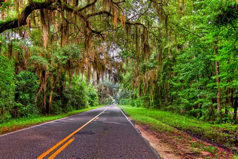 The Backroads Of Florida 4320 Alone And Feeling Brave I Tu Flickr