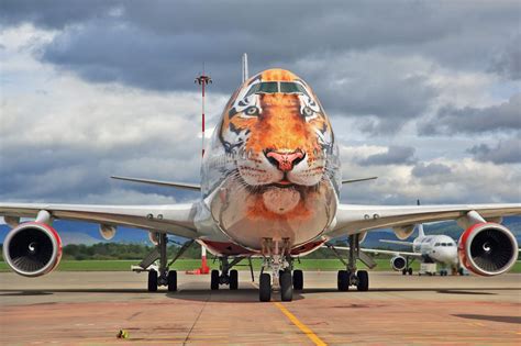 The Best Airplane Liveries In The World And Their Meanings