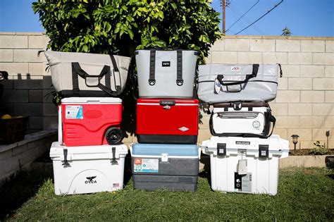 The Best Coolers Of 2020 Your Best Digs