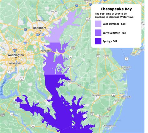 The Best Crabbing Spots In Maryland The Complete Guide Crabbing Hub