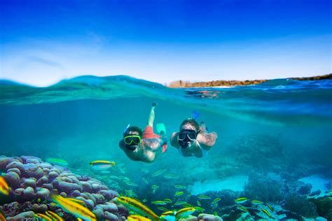 The Best Diving And Snorkeling Spots In Isla Mujeres U Travel Your