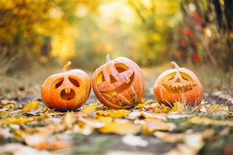 The Best Halloween Destinations Eco Travel Blog Ecohotels Com