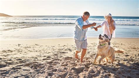 The Best Pet Friendly Destinations On Australia S East Coast