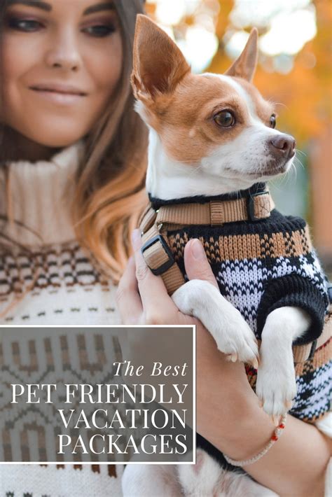 The Best Pet Friendly Vacation Packages Travel Luxury