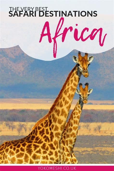 The Best Safari Destinations In Africa The Ultimate List Yoko Meshi