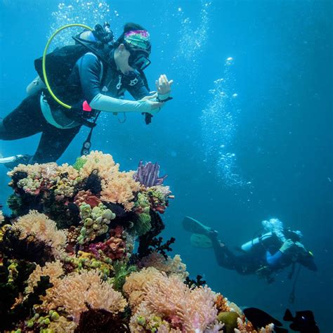 The Best Scuba Diving Destinations Are In The Philippines