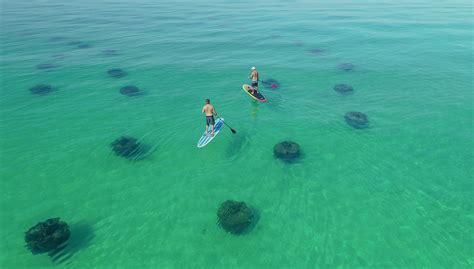 The Best Snorkeling Spots At Artificial Reefs In Destin Florida