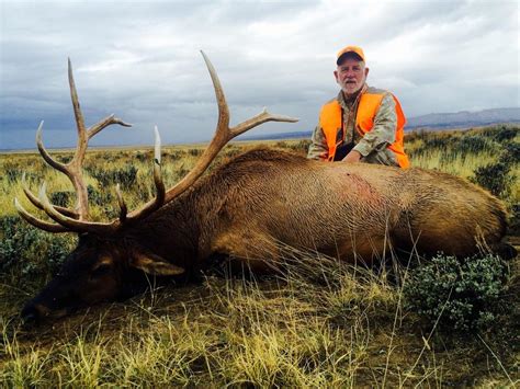 The Best States To Hunt Elk In Hunting In The Usa