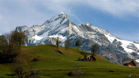 The Best Swiss Alps Tours The Must Sees