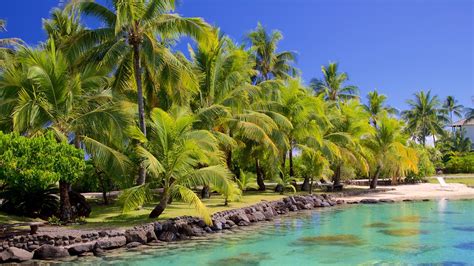 The Best Tahiti Vacation Packages 2017 Save Up To C590 On Our Deals