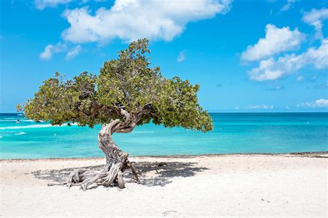 The Best Time To Visit Aruba In 2023 Travellers