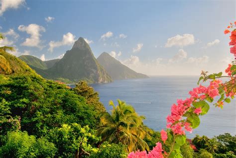 The Best Time To Visit St Lucia Top Villas