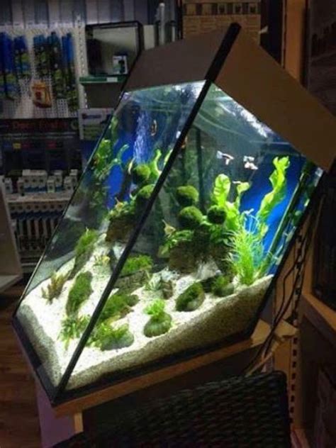 The Best Tips On Decorating An Aquarium