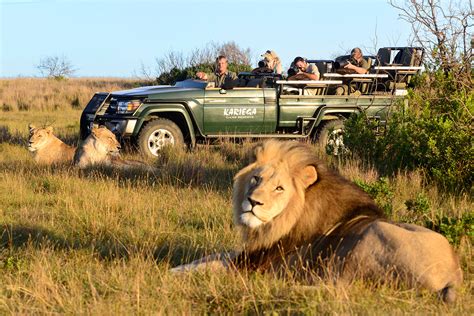 The Eastern Cape Sought After Wildlife Destination Southern East