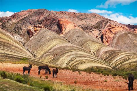 % The Essential Argentina Travel Guide