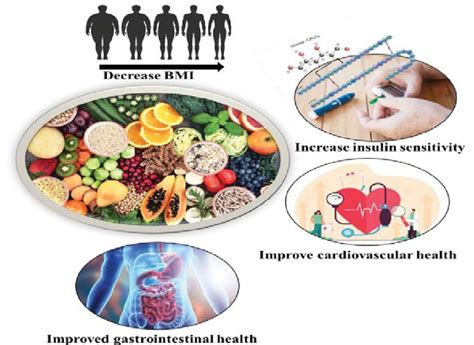 The Figure Represents The Overview Of Heath Benefit Of Dietary Fibers