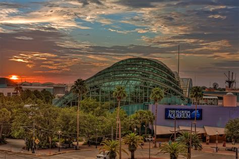 The Florida Aquarium Tampa S Water Wonderland