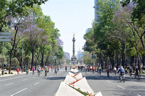 The Greatest Things To Do In Mexico City Feather And The Wind