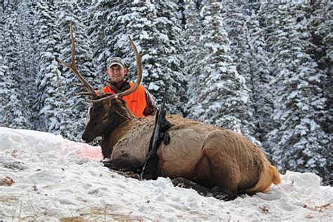 The Nonresident S Guide To Planning An Elk Hunt Petersen S