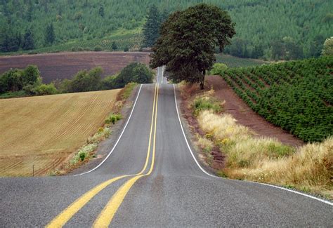 The Road Less Traveled Country Roads Road Photography