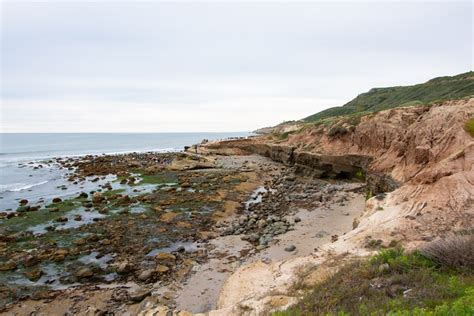 The Rocky Intertidal Zone Cabrillo National Monument U S National