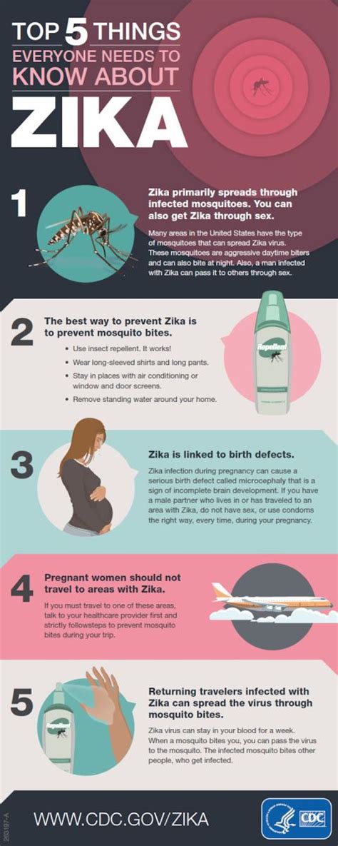 The Scope Blog Top 5 Things Everyone Needs To Know About Zika