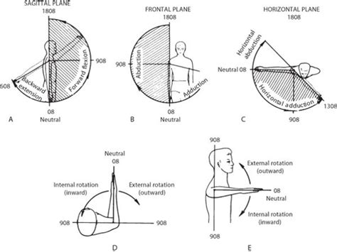 The Shoulder Elbow Connection Rotations Part 2 Post Competitive Insight