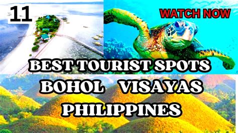 The Top 11 Most Beautiful Amazing Tourist Spots In Bohol Visayas