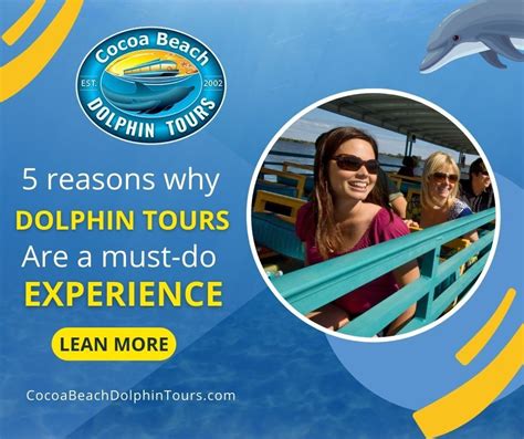 The Top 5 Reasons Why Dolphin Tours Are A Must Do Experience